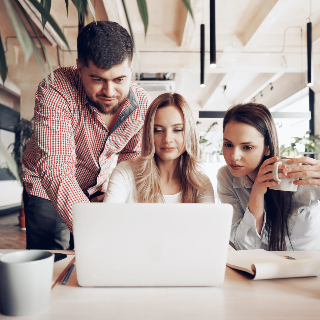 teamwork web devlelopment