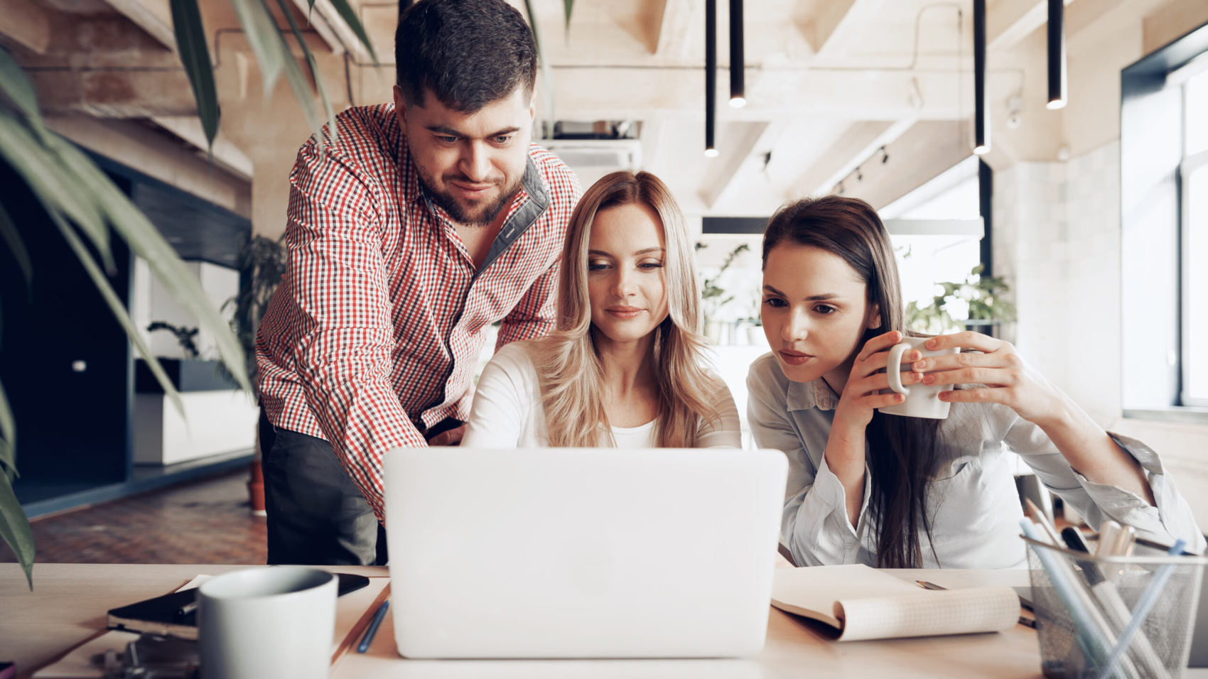 teamwork web devlelopment