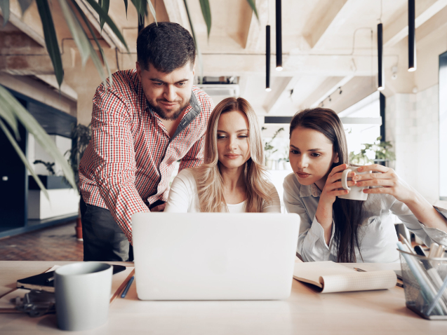 teamwork web devlelopment